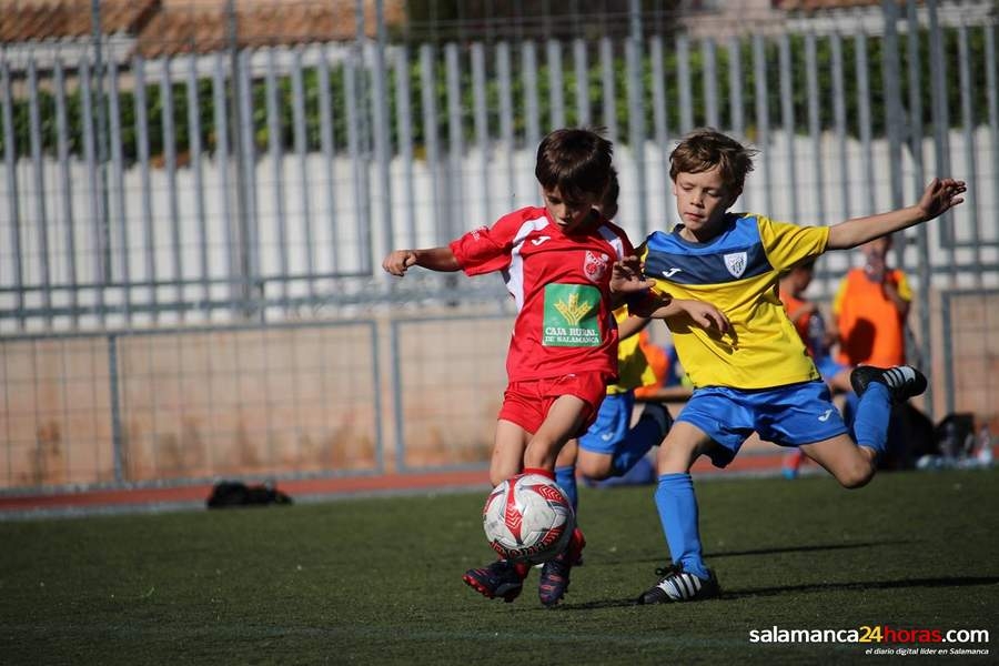 Victoria 7-1 del Prebenjamin C frente a Salesianos.