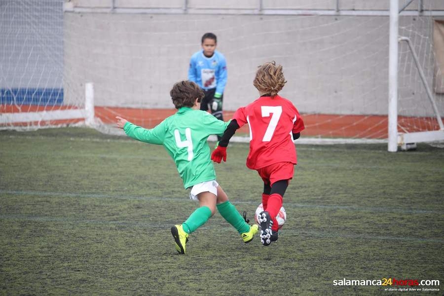 Nueva victoria del PreBenjamin C en casa frente al Guijuelo (6-1)