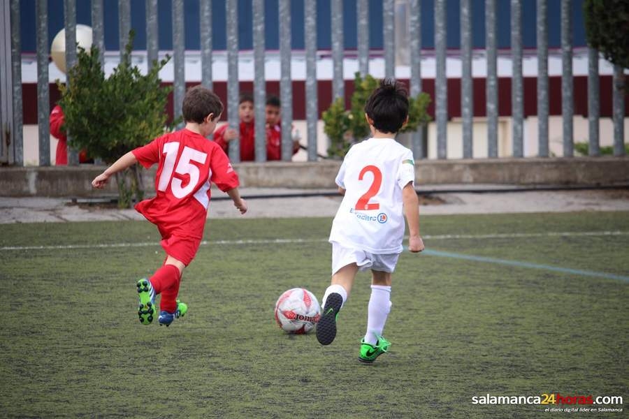 Disfruta de los mejores momentos de la victoria del Prebenjamin C